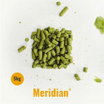 Indie Hops - Lúpulo Meridian